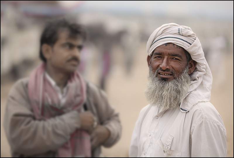 Pushkar Camel Fair Panel- image 3.tif